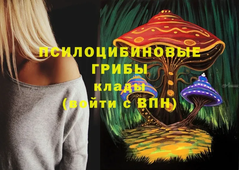 shop наркотические препараты  Котовск  Псилоцибиновые грибы Magic Shrooms 